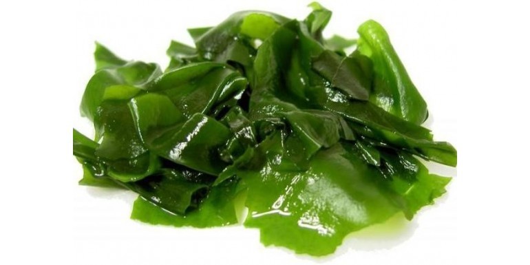 ¿Conocías la gran cantidad de beneficios que aportan las algas marinas a tu salud?