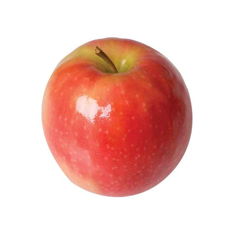 Manzana pink lady